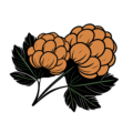 cloudberrycreations.co.uk